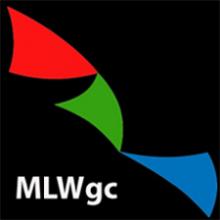 MLW General Contractor